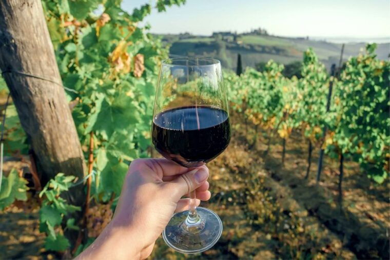 florence-private-full-day-tour-to-chianti-wine-region