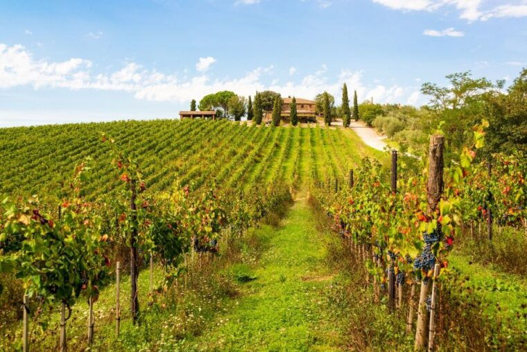 florence-private-half-day-chianti-tour