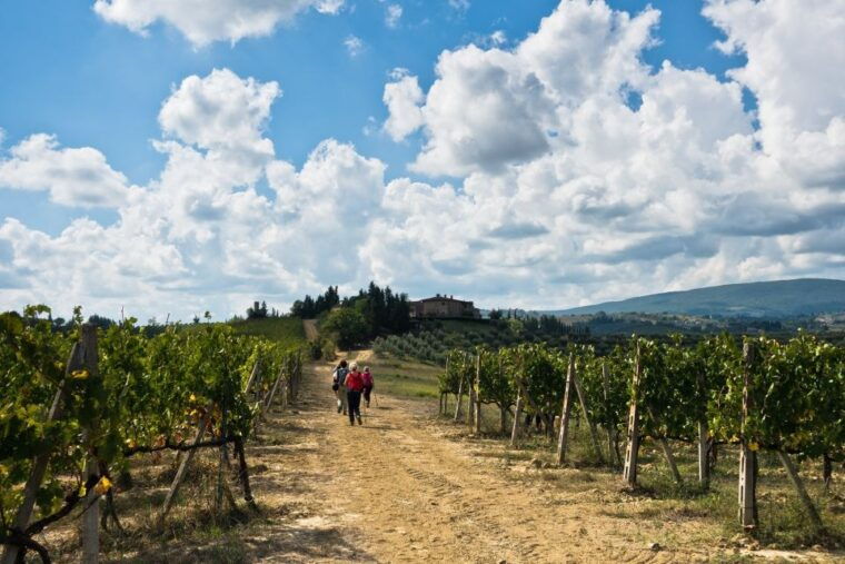 florence-private-half-day-chianti-tour