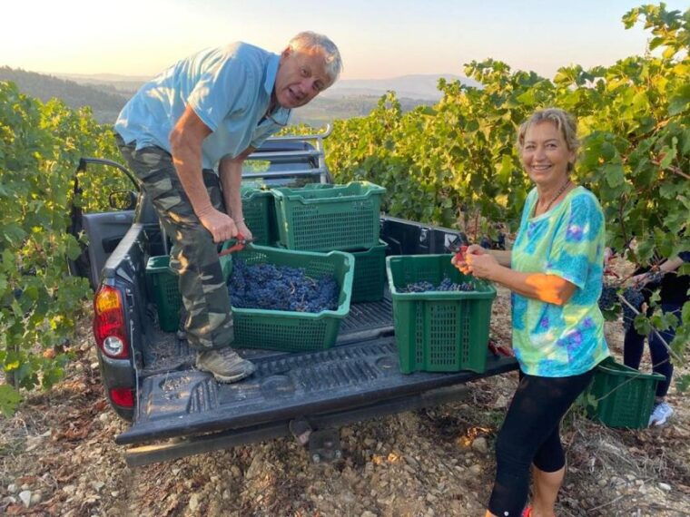 florence-private-siena-san-gimignano-and-chianti-tour