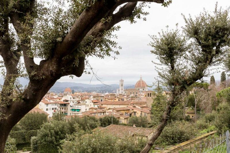 florence-reserved-entry-ticket-to-the-boboli-gardens