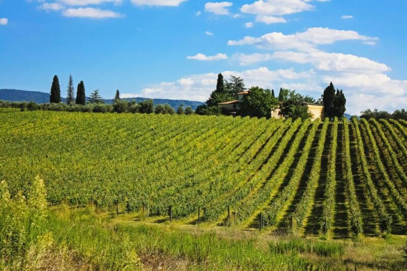 florence-san-gimignano-siena-and-chianti-day-tour
