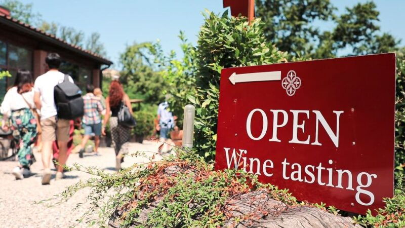 florence-san-gimignano-siena-chianti-wine-tasting-lunch