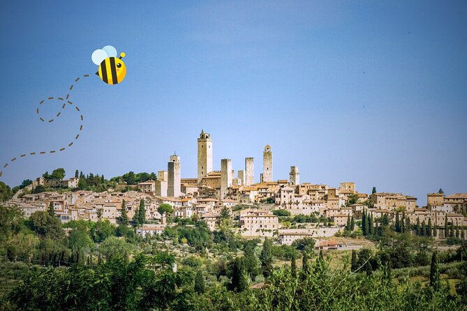 florence-san-gimignano-siena-tasting-experience-2