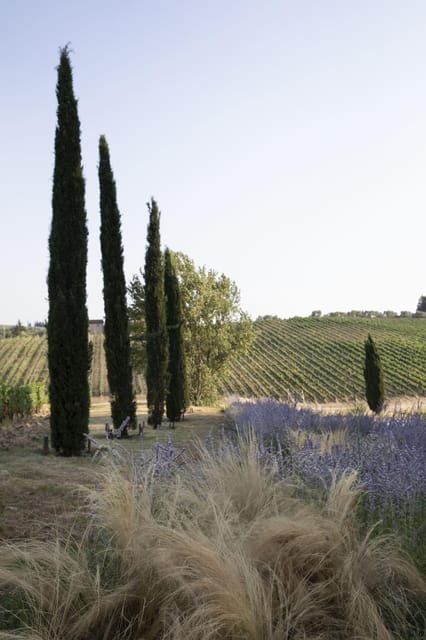 florence-tradition-reinvented-wine-experience