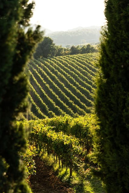 florence-tradition-reinvented-wine-experience