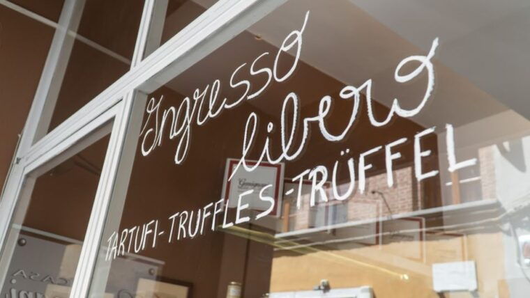 florence-truffle-hunting-and-vinci-with-lunch-and-winery