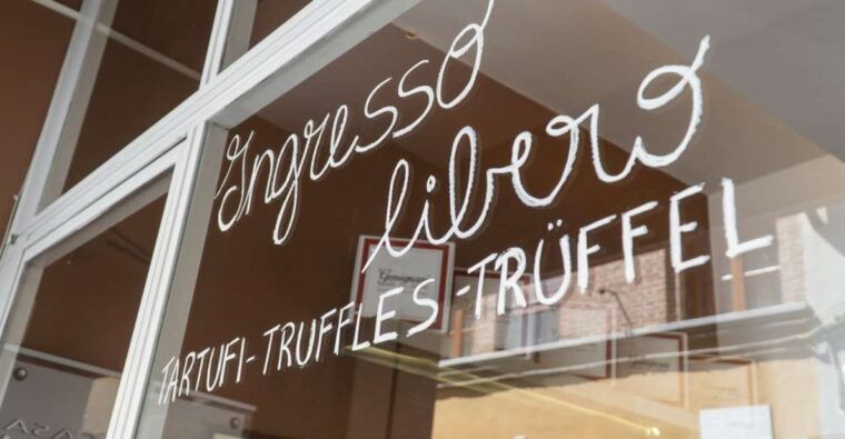 florence-truffle-hunting-and-vinci-with-lunch-and-winery