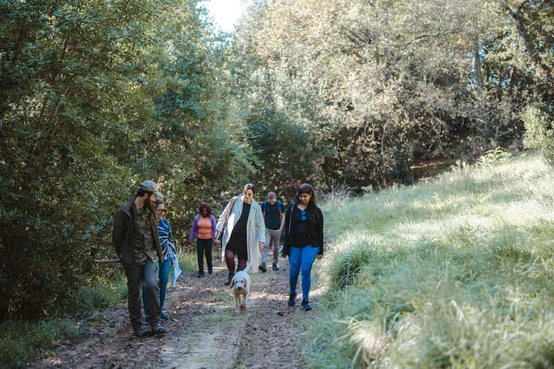 Florence: Truffle Hunting with Lunch, Wine & San Gimignano - A Full Day of Tuscan Flavors and Culture