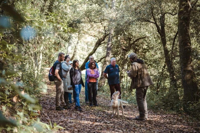 Florence: Truffle Hunting with Lunch, Wine & San Gimignano - FAQs