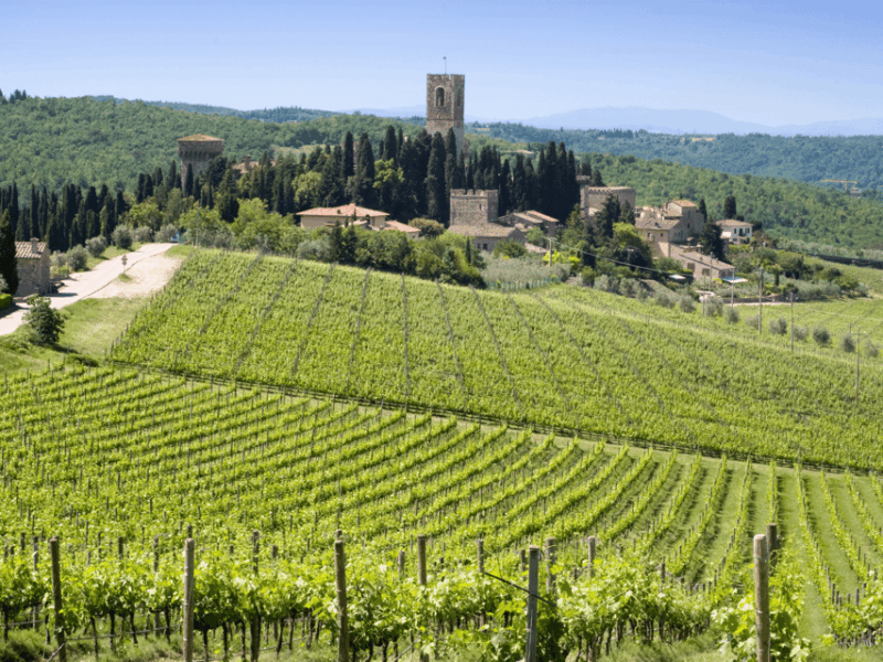 florence-tuscan-day-trip-siena-san-gimignano-pisa