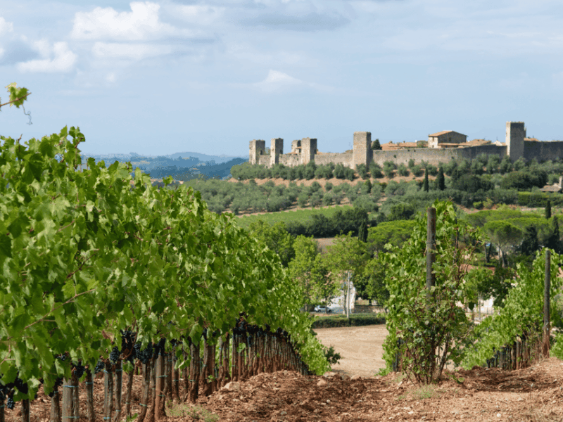 florence-tuscan-day-trip-siena-san-gimignano-pisa