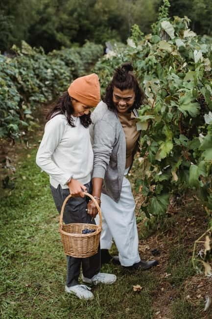 Florence: Tuscan Grape Stomping, Lunch and Wine Tasting - Florence: Tuscan Grape Stomping, Lunch and Wine Tasting — An Authentic Italian Experience