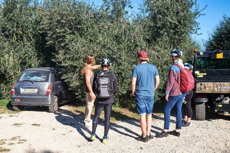 Florence: Tuscan Hills E-Bike Tour with Olive Oil Tasting - FAQs