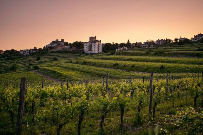 florence-tuscany-chianti-winery-private-day-trip-with-lunch