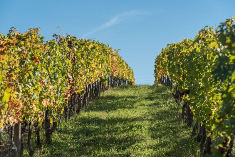 florence-tuscany-chianti-winery-private-day-trip-with-lunch