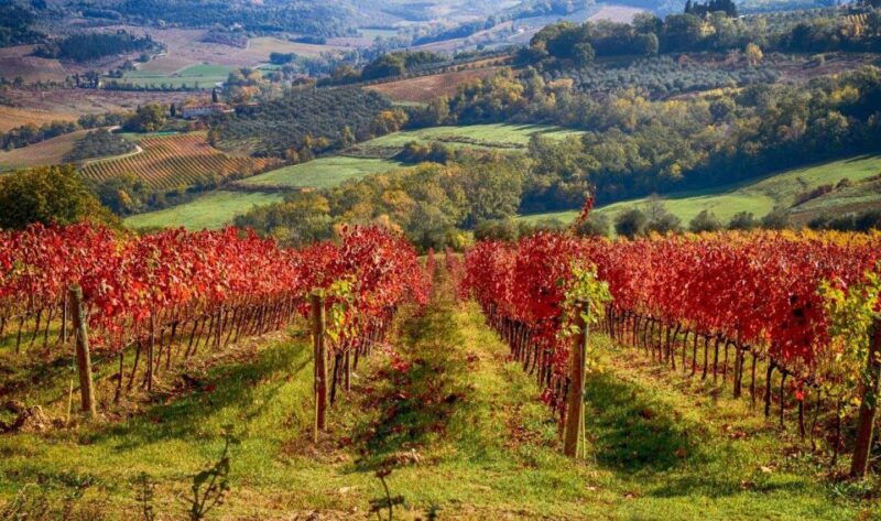 florence-tuscany-chianti-winery-private-day-trip-with-lunch