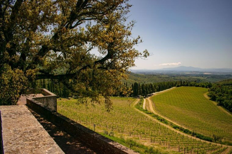 florence-tuscany-chianti-winery-private-day-trip-with-lunch