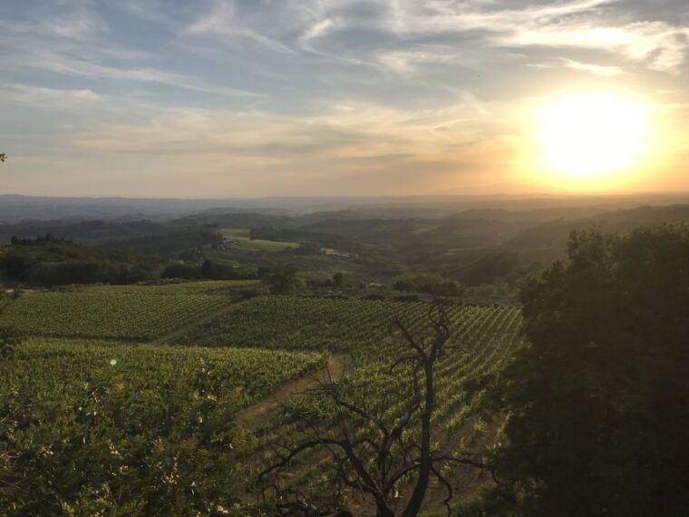 florence-tuscany-chianti-winery-private-day-trip-with-lunch
