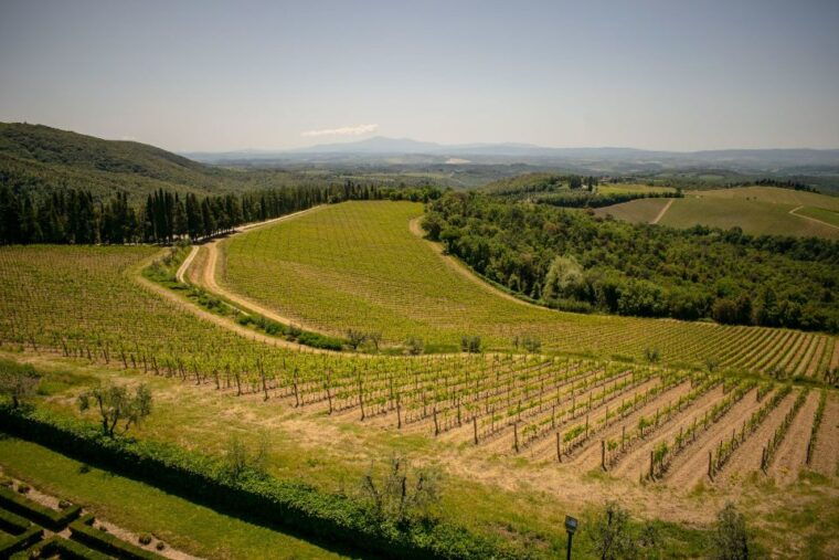 florence-tuscany-chianti-winery-private-day-trip-with-lunch