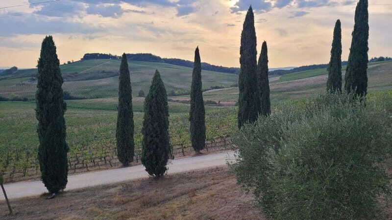 Florence: Two Wine Tastings in Tuscany+ San Gimignano - Key Points