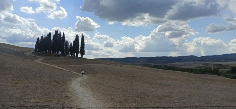 florence-valdorcia-wine-brunello-montalcino-montepulciano