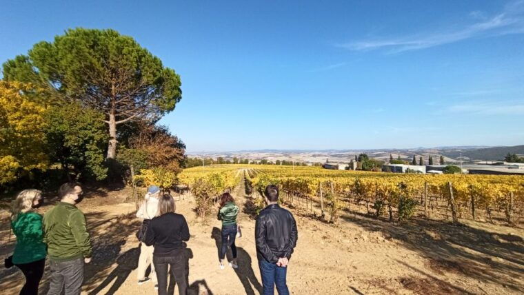 florence-valdorcia-wine-brunello-montalcino-montepulciano