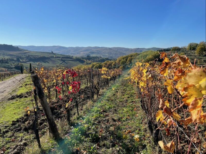 florence-wine-hiking-chianti-classico-with-lunch-tuscany