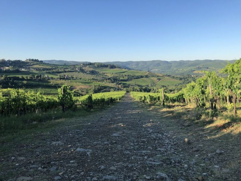 florence-wine-hiking-chianti-classico-with-lunch-tuscany