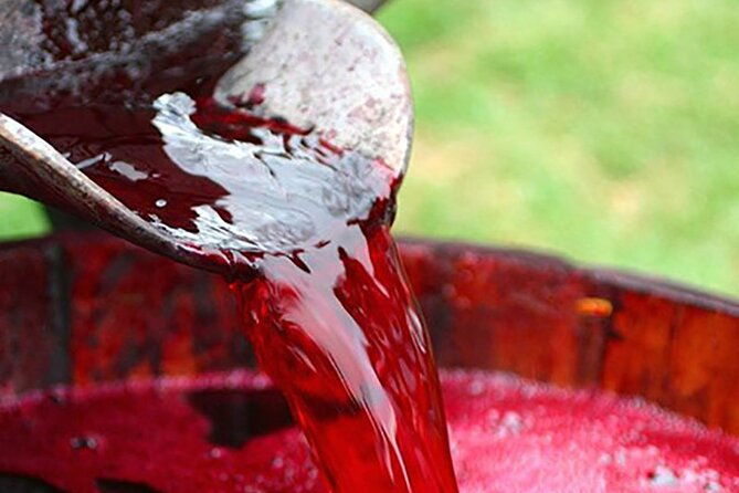 florence-wine-making-private-experience-in-a-vineyard-in-tuscany