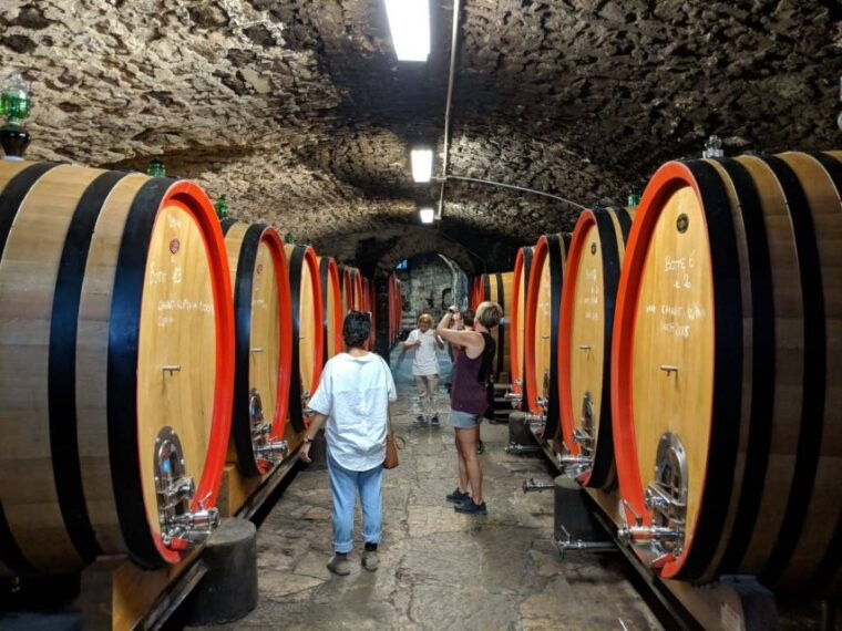 florence-wine-tour-with-traditional-lunch-private-winery