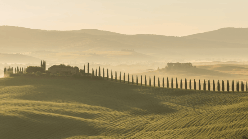 florenceday-tour-to-sienabaccolenochapel-w-privatedriver