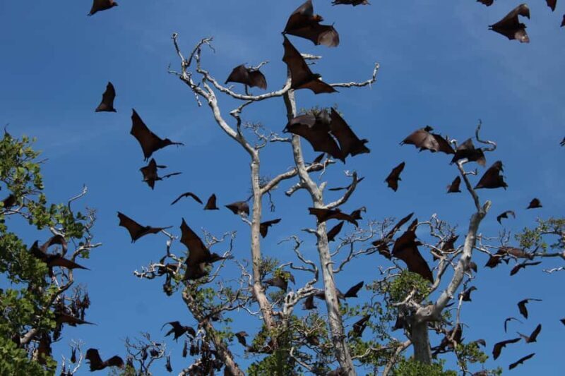 Flores: 7-Day Guided Tour with Snorkeling & Sightseeing - Key Points