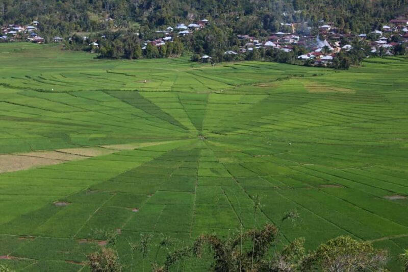 Flores: 7-Day Guided Tour with Snorkeling & Sightseeing - Final Thoughts