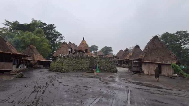 Flores Island Overland Tour: 7-Day of Nature & Culture - Value and Pricing