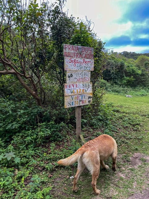 florianopolis-south-naufragados-trail