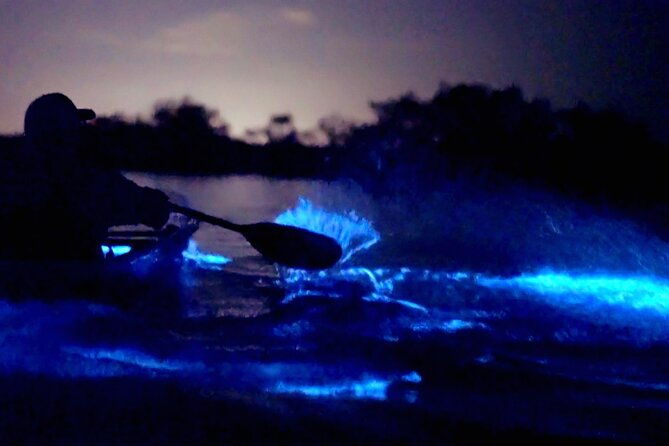 florida-bioluminescence-clear-kayak-tour-cocoa-beach-kiwanis-island-2