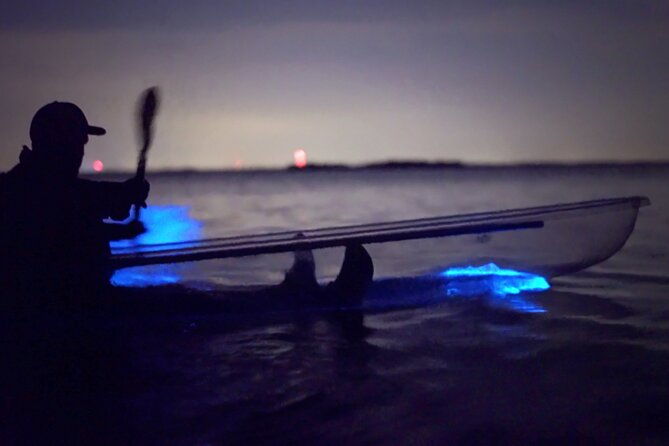florida-bioluminescence-clear-kayak-tour-cocoa-beach-kiwanis-island