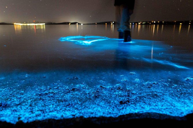 florida-bioluminescence-kayaking-tour-haulover-canal-titusville