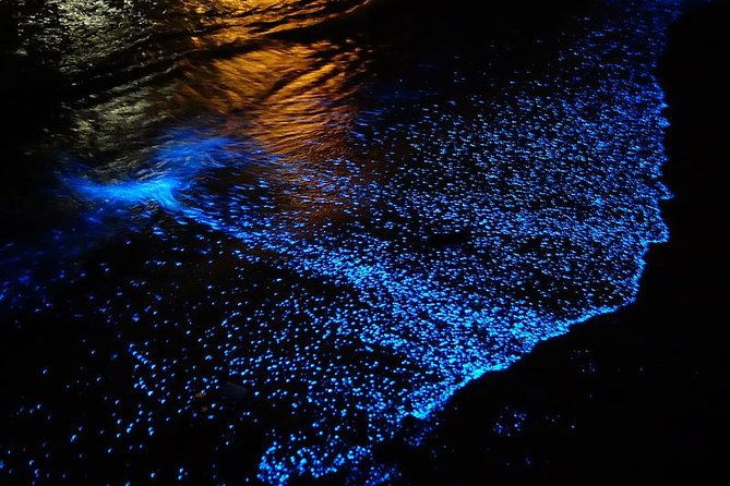 florida-bioluminescence-kayaking-tour-haulover-canal-titusville