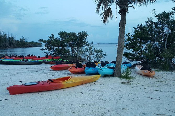 florida-bioluminescence-kayaking-tour-haulover-canal-titusville