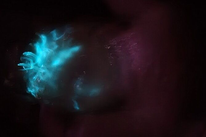 florida-bioluminescence-kayaking-tour-haulover-canal-titusville