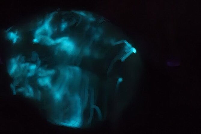 florida-bioluminescence-kayaking-tour-haulover-canal-titusville