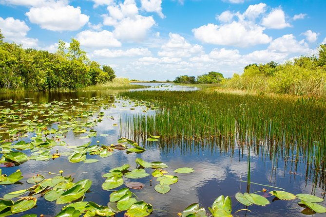 florida-everglades-airboat-adventure-plus-miami-biscayne-bay-cruise