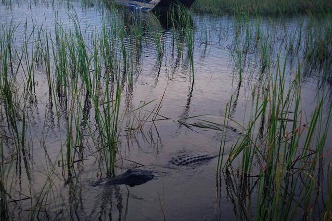 florida-everglades-private-night-airboat-ride-tour-2