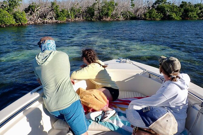 florida-keys-backcountry-eco-tour-from-big-pine-key