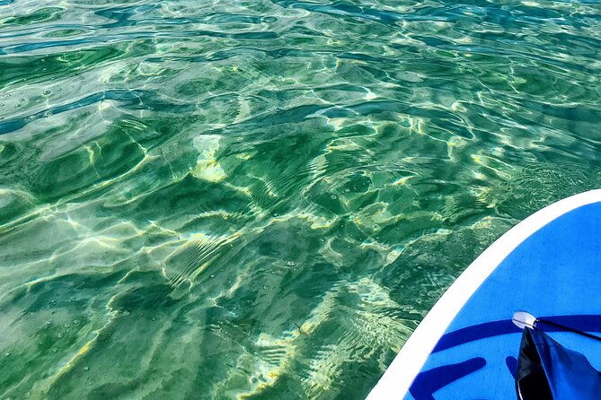 florida-keys-eco-tour-snorkel-kayak-lunch-transportation-2
