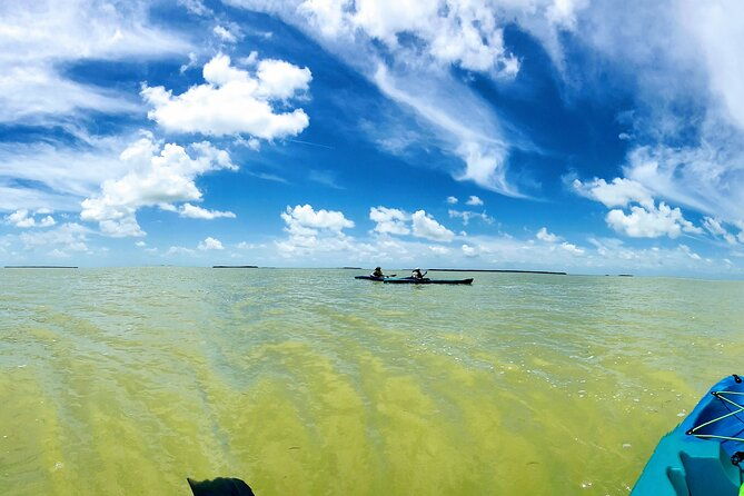 florida-keys-eco-tour-snorkel-kayak-lunch-transportation