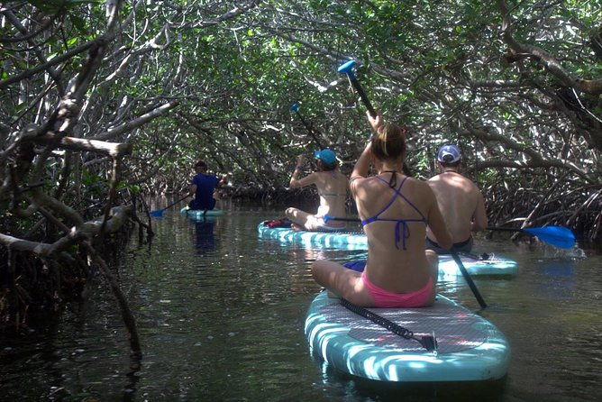 florida-keys-eco-tour-snorkel-kayak-lunch-transportation