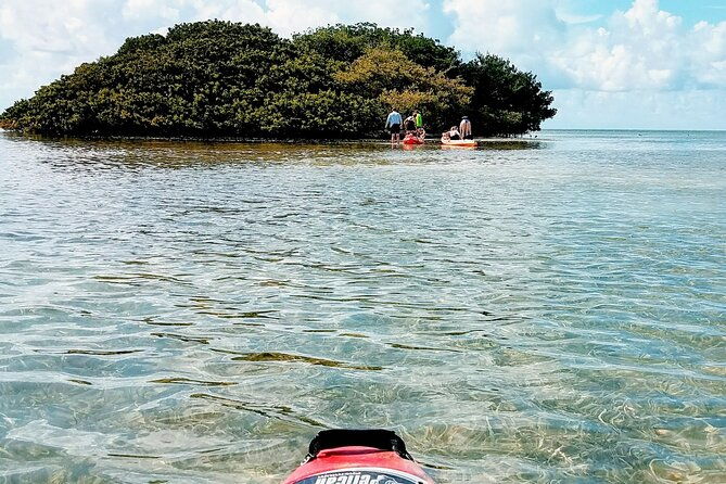 florida-keys-eco-tour-snorkel-kayak-lunch-transportation